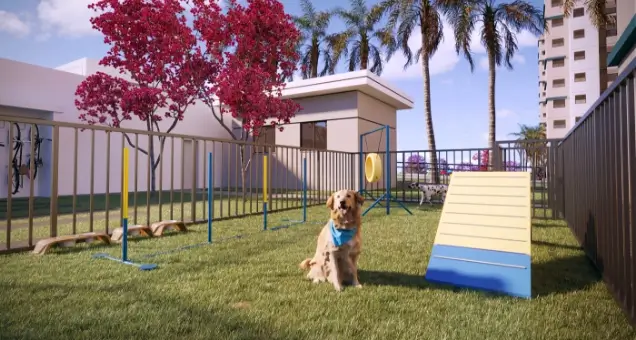 Petplace